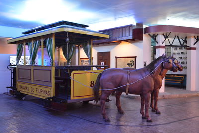 Horse cart in city