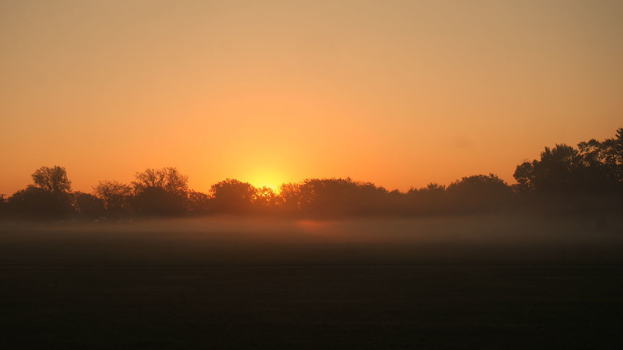 TREES ON FIELD AGAINST CLEAR SKY AT SUNSET