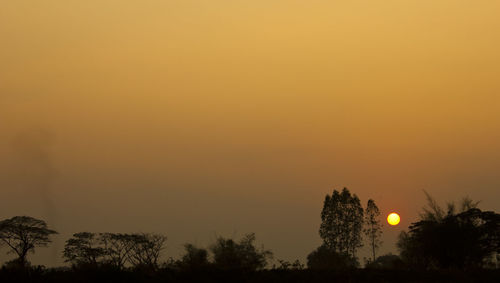 Silhouette trees against orange sky