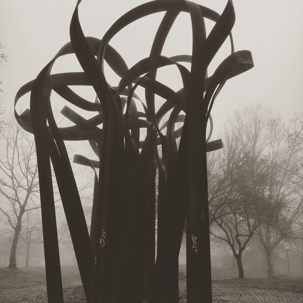 SILHOUETTE OF BARE TREES ON FIELD DURING FOGGY WEATHER