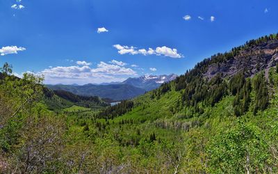 mountain