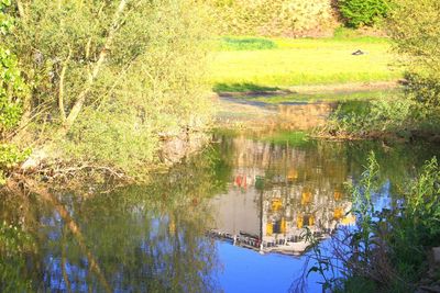 High angle view of trees by lake