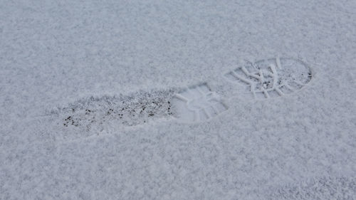 High angle view of footprints on snow covered land