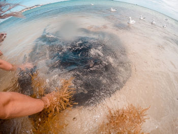 High angle view of person swimming in sea