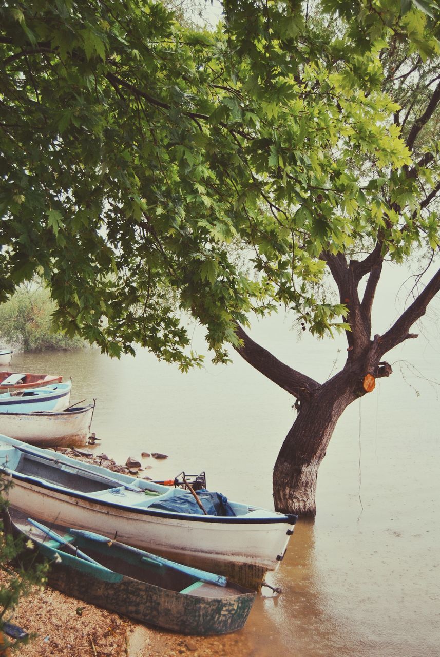 nautical vessel, transportation, mode of transport, moored, tree, boat, water, nature, day, beauty in nature, no people, outdoors, scenics, longtail boat, branch, sky