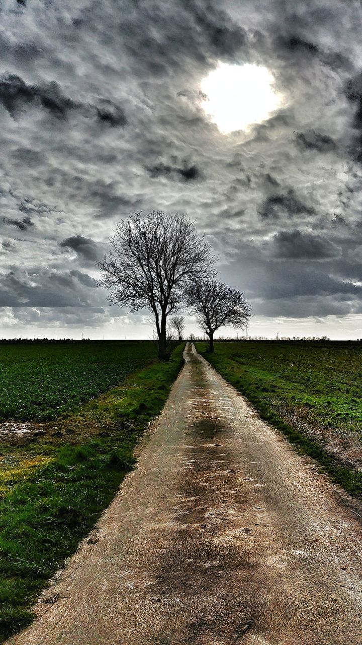 VIEW OF DIRT ROAD AMIDST TREES ON FIELD