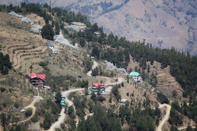 High angle view of trees and buildings on mountain