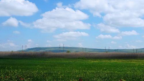 Scenic view of field against sky