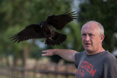 Close-up of eagle flying against blurred background