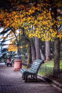 Park bench in park