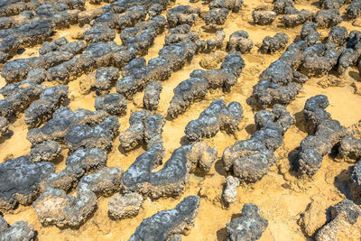 Full frame shot of rock on sand