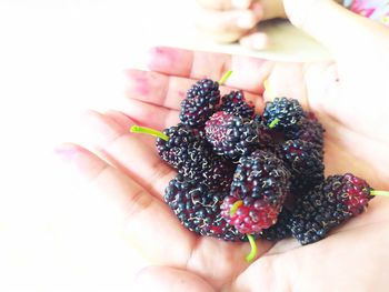 Close-up of hand holding berries