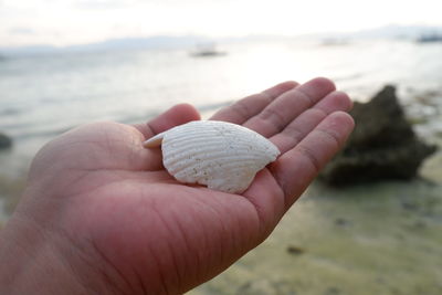 Close-up of hand holding sea shore