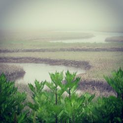 Scenic view of land against sky