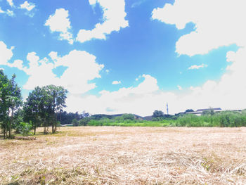 Scenic view of field against sky