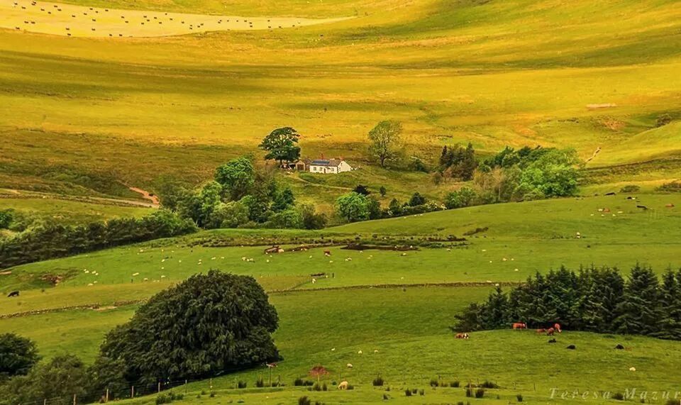 SCENIC VIEW OF LANDSCAPE