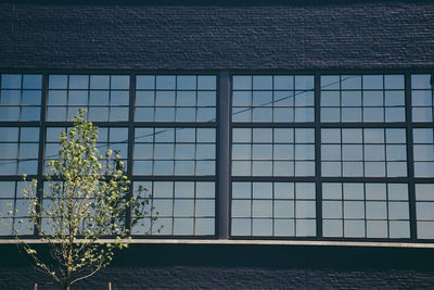 Glass window of building