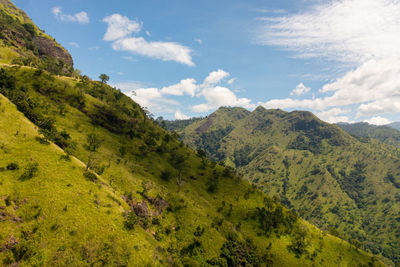 Aerial view of mountain slopes with green forest on the background of blue sky and clouds.