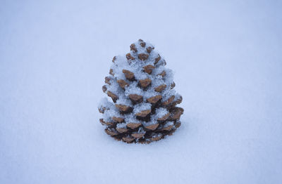 Close-up of snow over white background