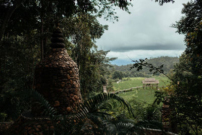 Scenic view of trees on field against sky
