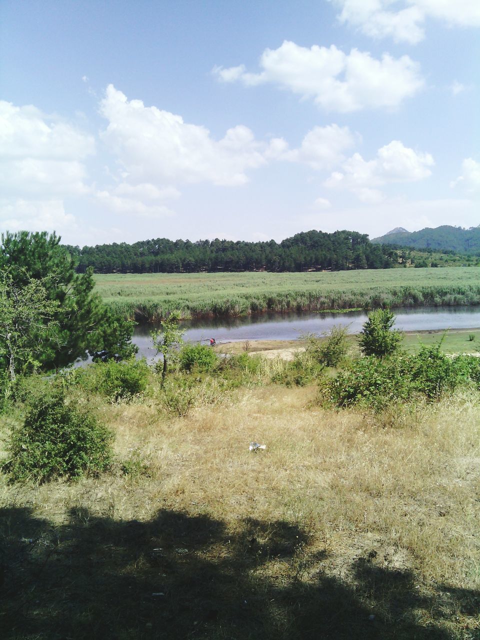 sky, tranquil scene, tranquility, scenics, beauty in nature, water, nature, growth, landscape, plant, cloud - sky, tree, grass, cloud, field, lake, river, green color, day, idyllic