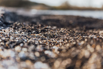 Close-up of pebbles on sand