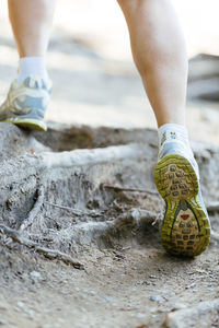 Low section of woman walking on tree root