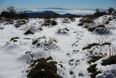 Scenic view of snow covered mountains