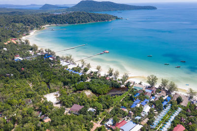 High angle view of trees on beach