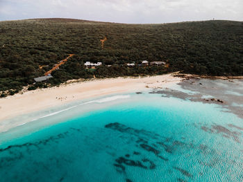 Scenic view of beach