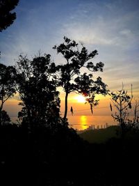 Silhouette trees against sky during sunset