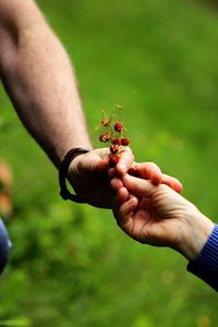 Close-up of hand holding insect on grass