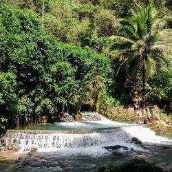 Scenic view of waterfall