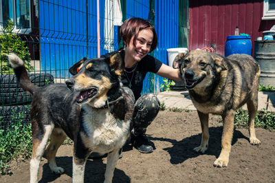 Dog at the shelter. animal shelter volunteer takes care of dogs. 