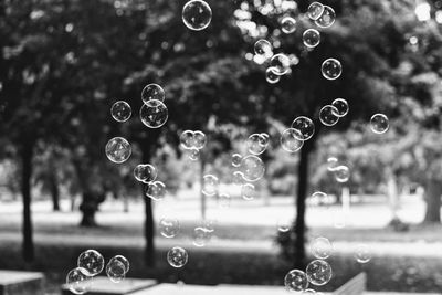 Close-up of water drops on bubbles