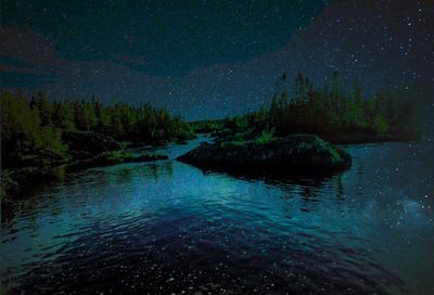 View of trees against sky at night