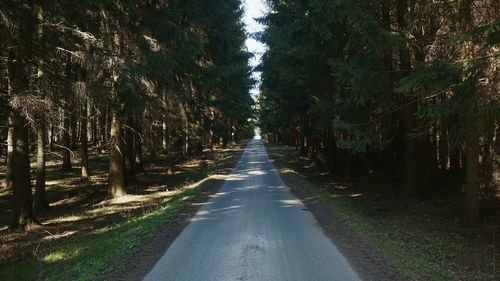 Road amidst trees against sky