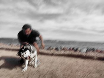 Dog on street by sea against sky