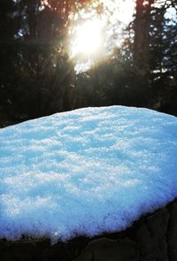 Close-up of frozen trees during winter