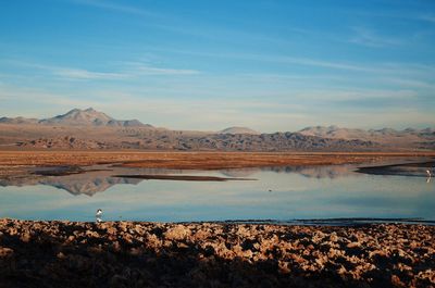 Scenic view of lake against blue sky