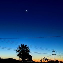 Low angle view of silhouette trees against blue sky