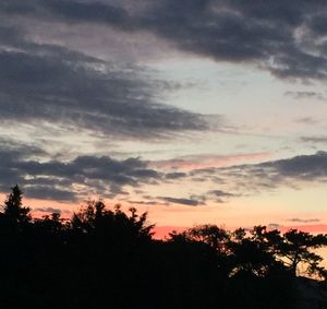 Silhouette of trees against cloudy sky