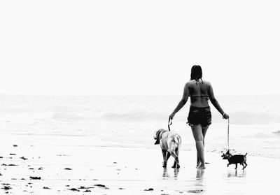 Rear view of woman walking with dogs at beach