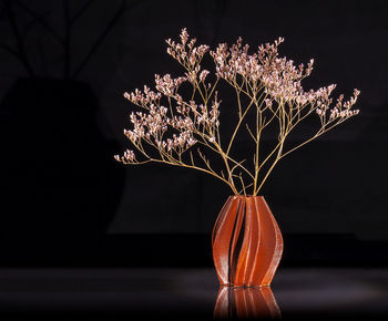 Close-up of illuminated plant on table