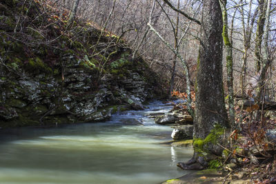 Stream flowing through rocks in forest