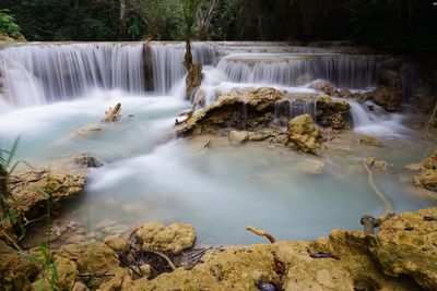 Scenic view of waterfall in forest