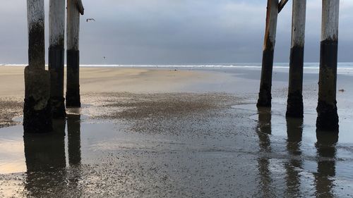 Wooden posts on beach against sky