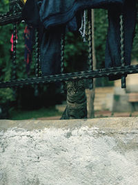 Low section of person standing on railing