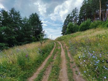 Scenic view of road amidst trees on field against sky