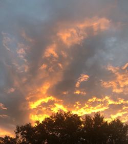 Low angle view of trees against sky during sunset